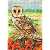 Купить недорого   Набор для вышивания Anchor "Owl" 23*16см, MEZ Венгрия, AK139  в интернет магазине Фэмили хобби